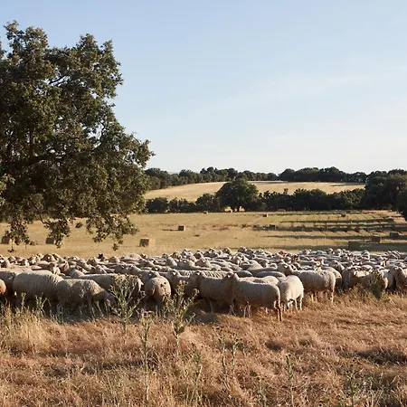 Caserio Aldeallana Szálloda