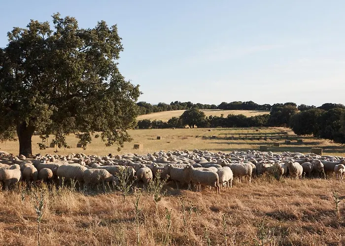 Caserio Aldeallana Szálloda